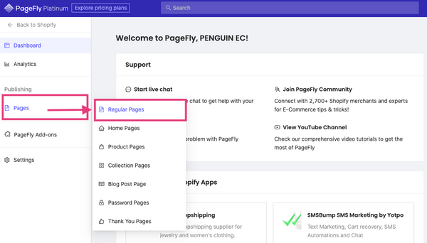 Shopify PageFly Regular page new