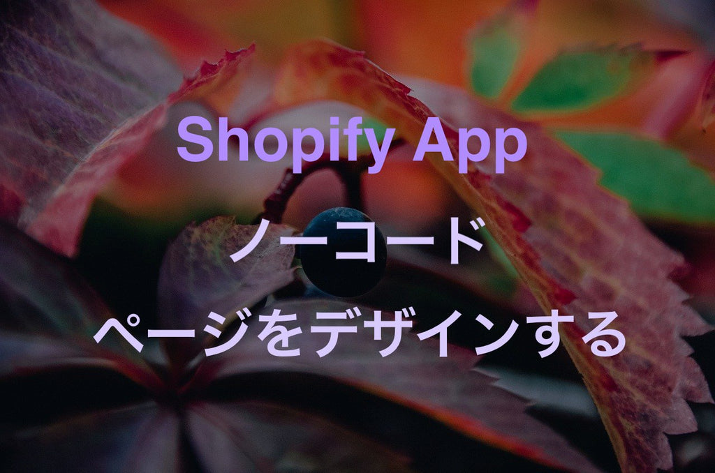 Shopify PageFly App no code
