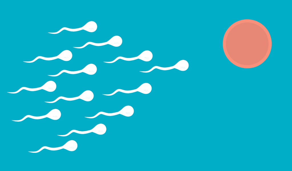 Male Fertility Sperm Test Optimise Fertility Vitamins and Supplements