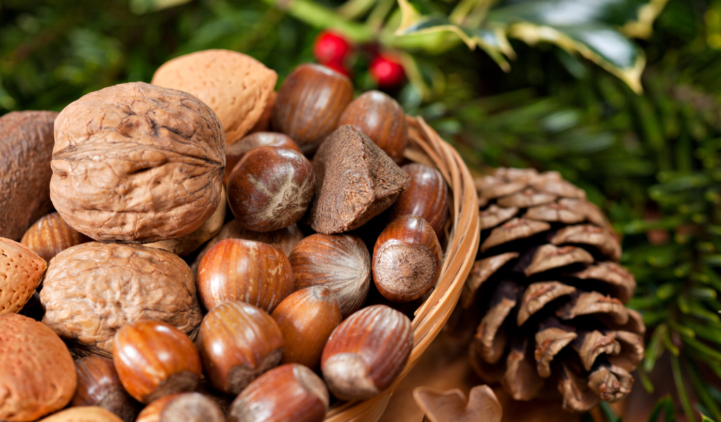 Fertility Benefits of Nuts Chestnuts Walnuts Almonds Seeds