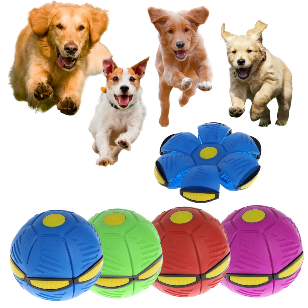 Snuffle Puzzle Ball Nosework Dog Toy – WOOFELITE
