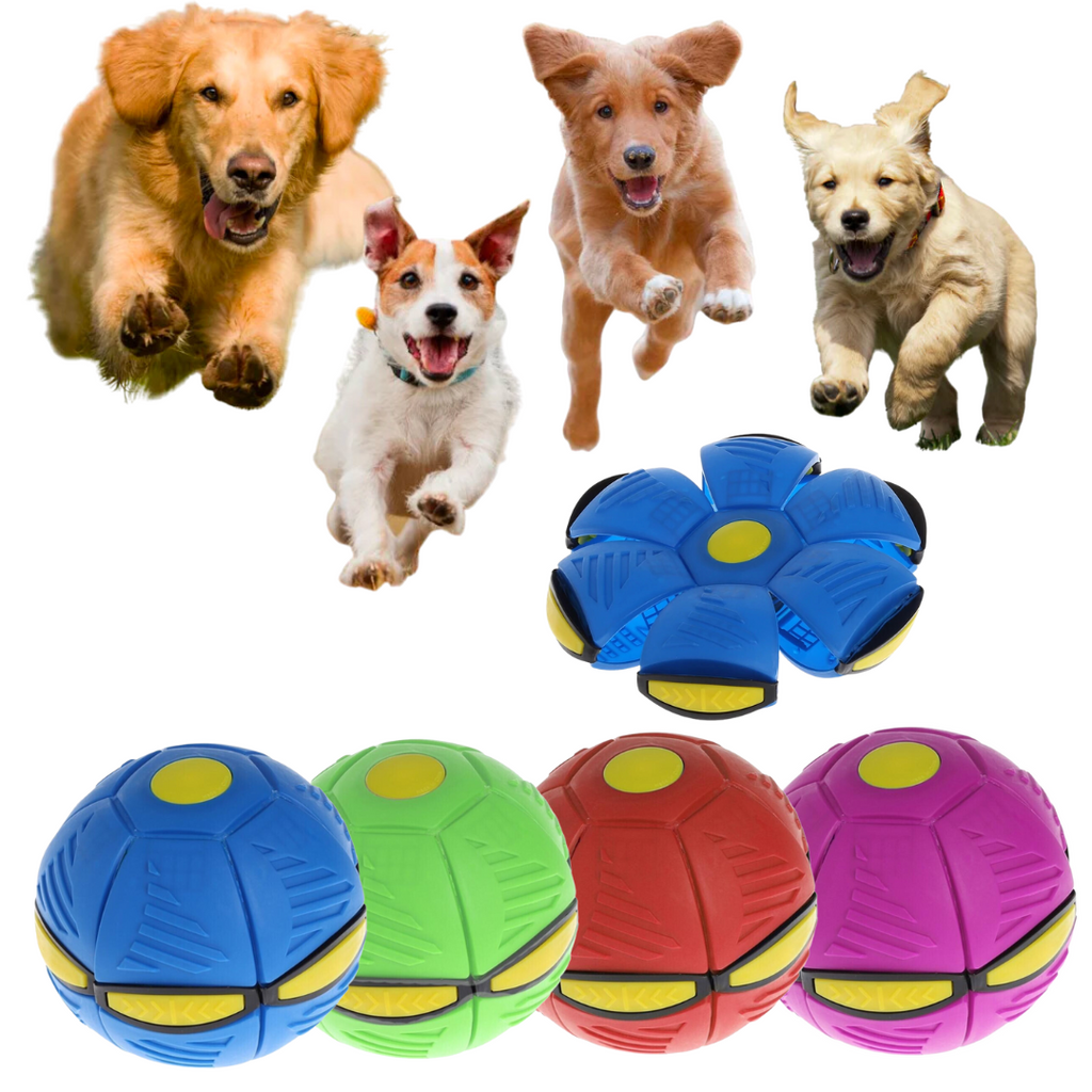 Snuffle Ball: Engaging Interactive Toy for Endless Pet Fun!