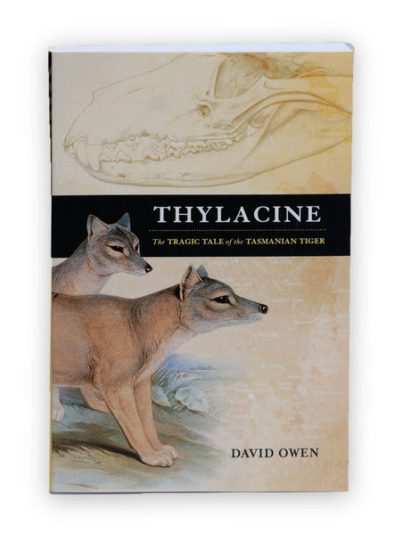 Thylacine The Tragic Tale Of The Tasmanian Tiger Wild