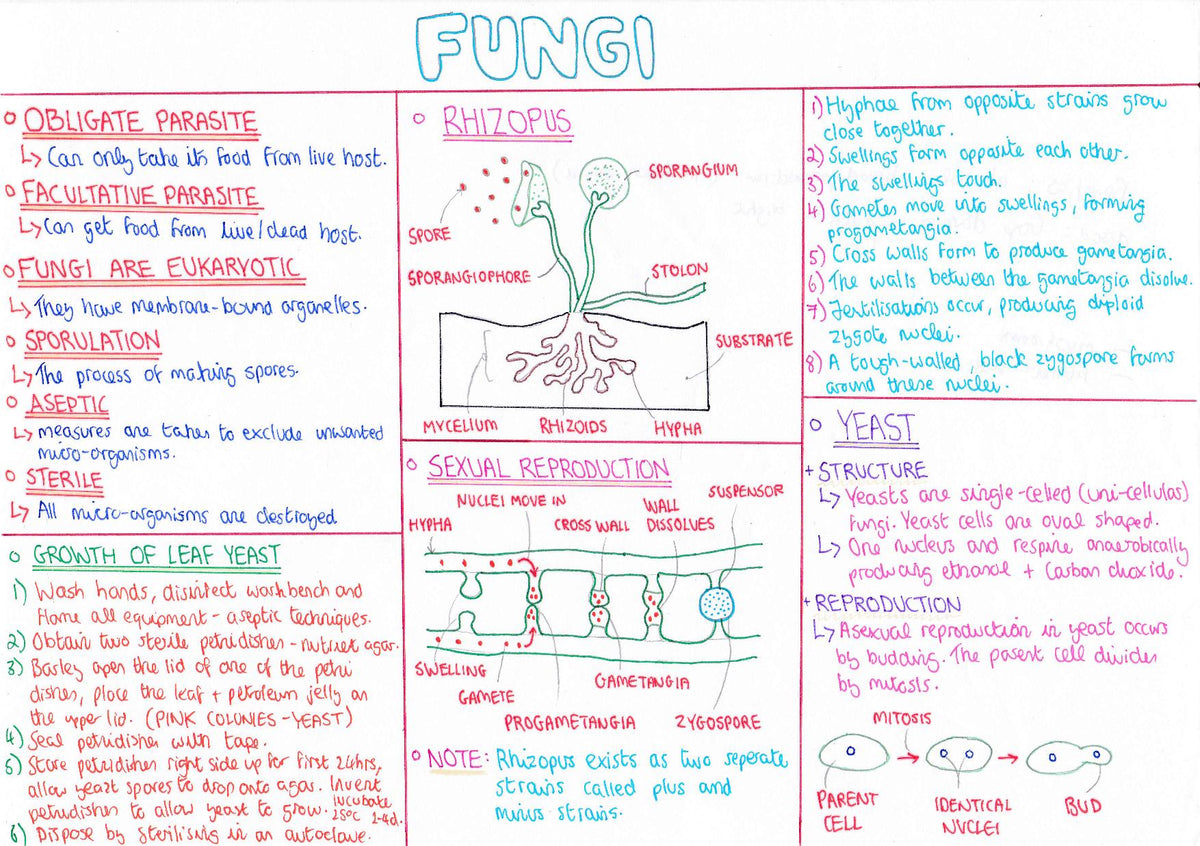 LCL - Biology Notes – THE LEAVING CERT LAB