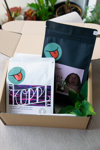 Banibeans Slovenia - Curious Buds Specialty Coffee - July Subscription Box 