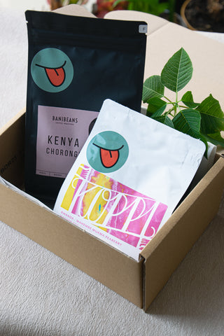 Banibeans Slovenia - Curious Buds Specialty Coffee - July Subscription Box 