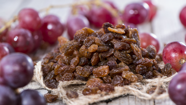 nourriture-venimeuse-chien-raisins-raisins