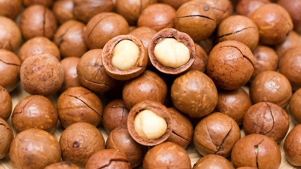 Les noix de macadamia sont toxiques pour les chiens