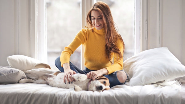 Une femme caresse et masse son chien à cause de ses douleurs au ventre