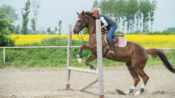 Ein Reiter springt mit seinem Pferd über Stangen