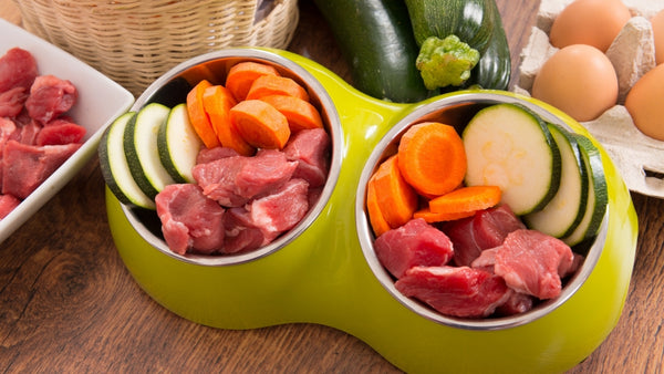 Légumes et viande disposés dans la gamelle - une gamelle pour chien pleine de vitamines.