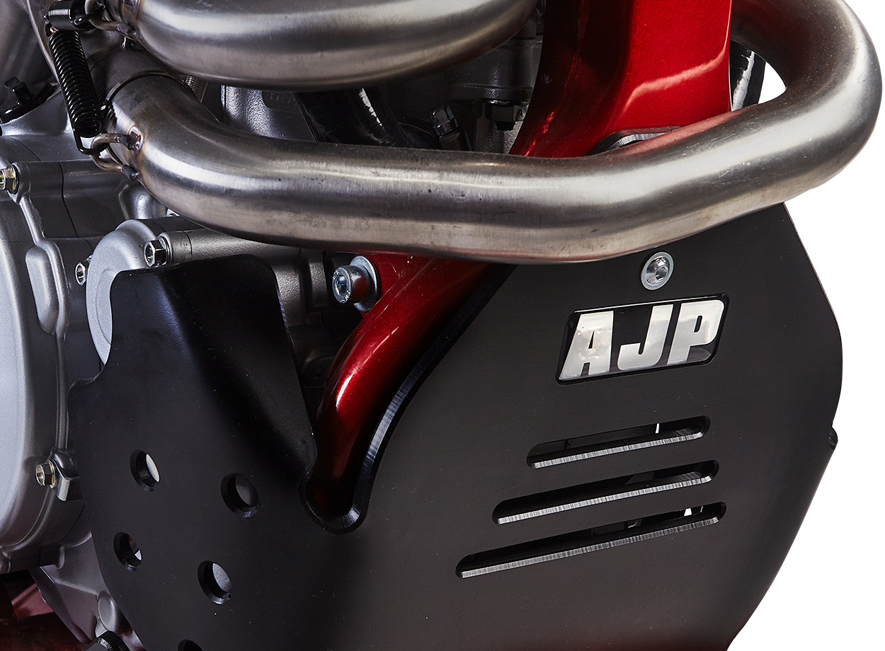 AJP SPR 310R engine detail