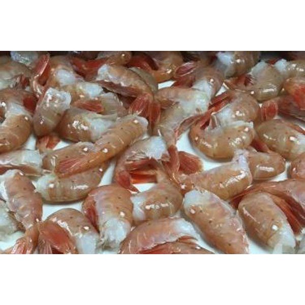 Buy Jumbo Alaskan Spot Shrimp by the pound Direct from Alaska