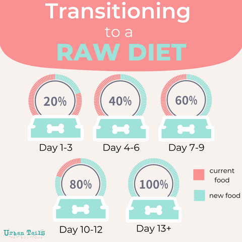 How to transition to a raw food diet