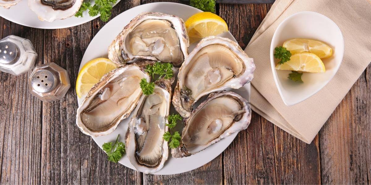 oyster tasting experience australia