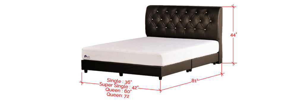 Shivom C Series Leather Divan Bed Frame In Single, Super Single, Queen, and King Size