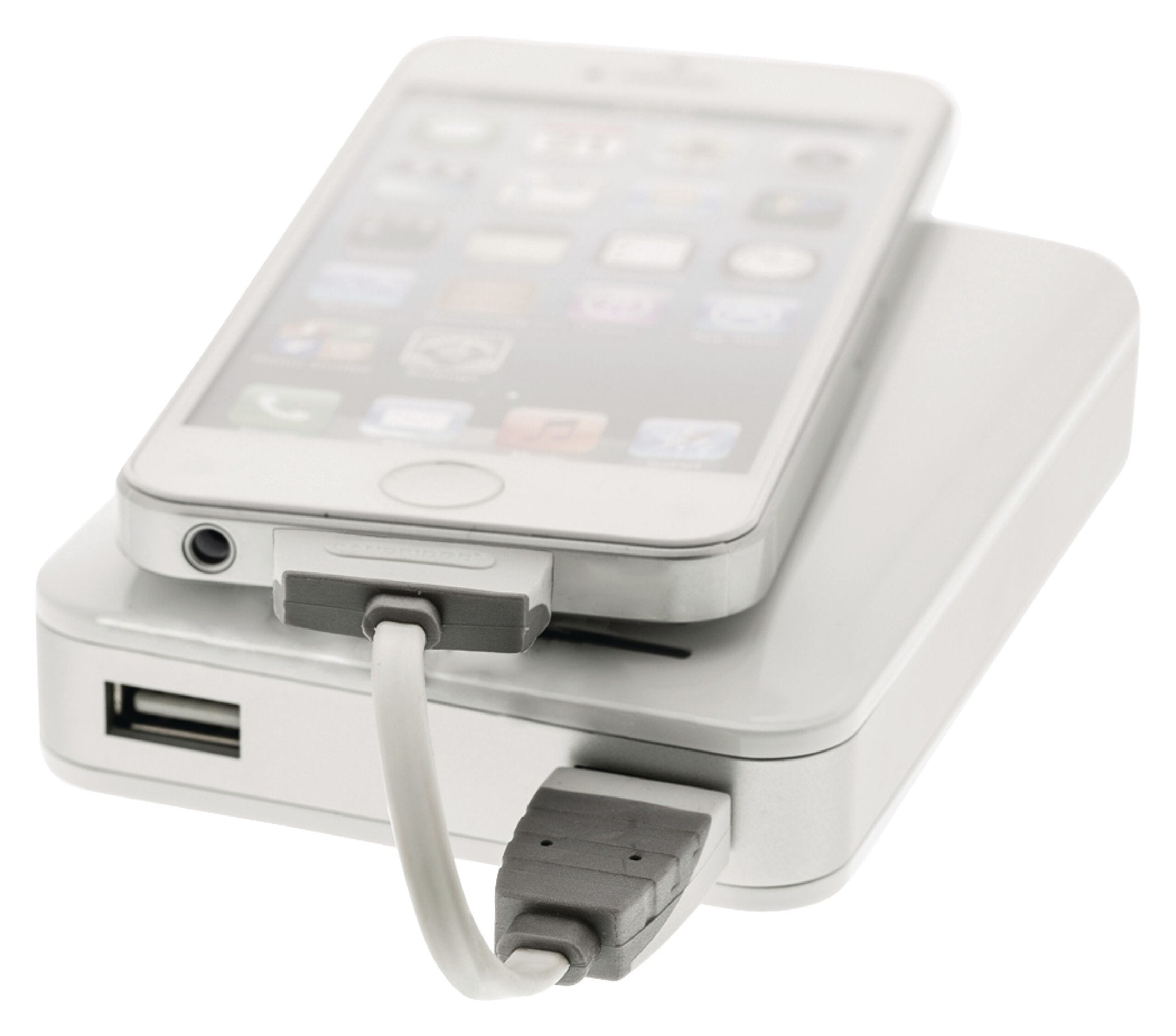 Data en Oplaadkabel Apple Dock 30-Pins - USB A Male 0.10 m Wit Bandridge