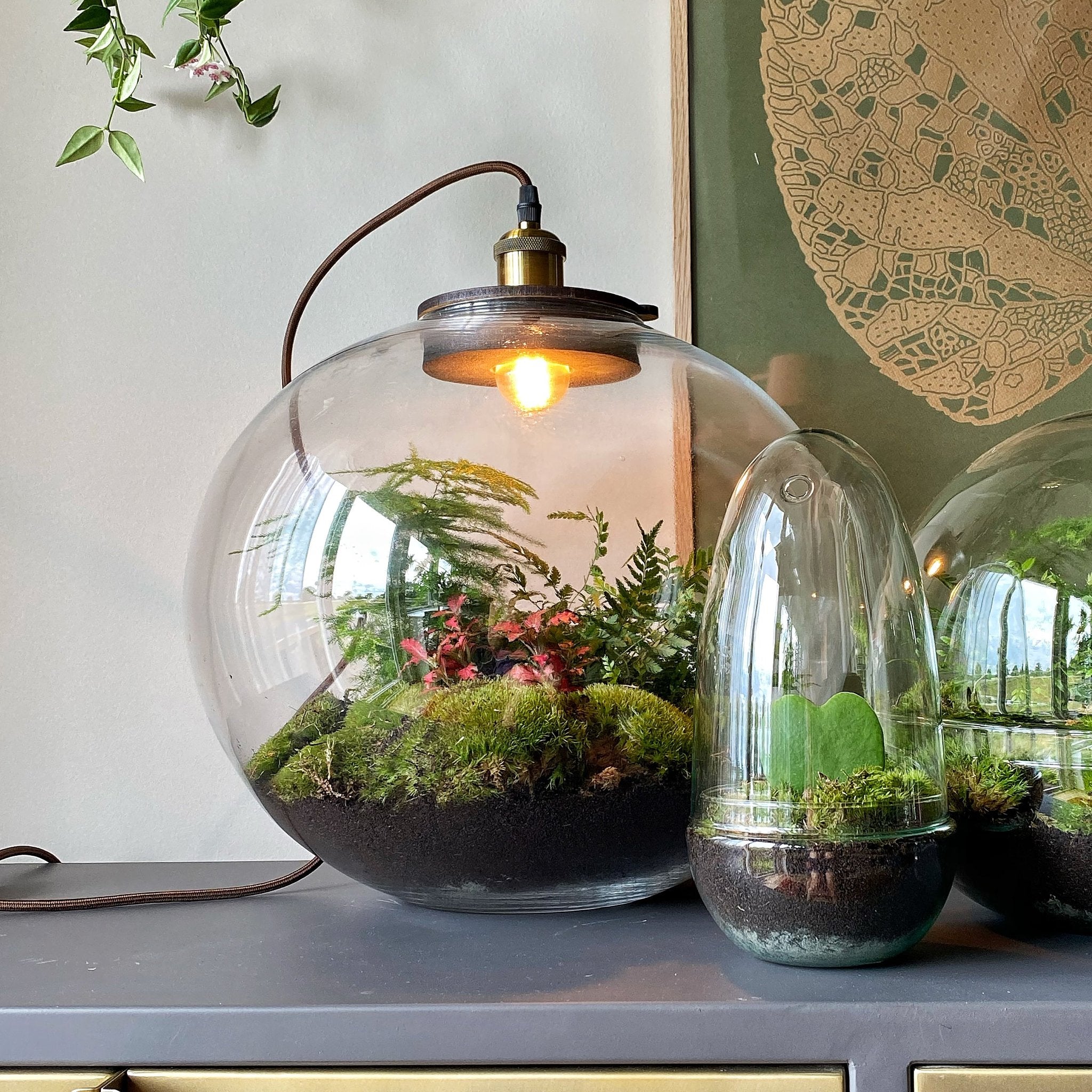 Demeter Botanical - Terrarium met lamp - 40cm