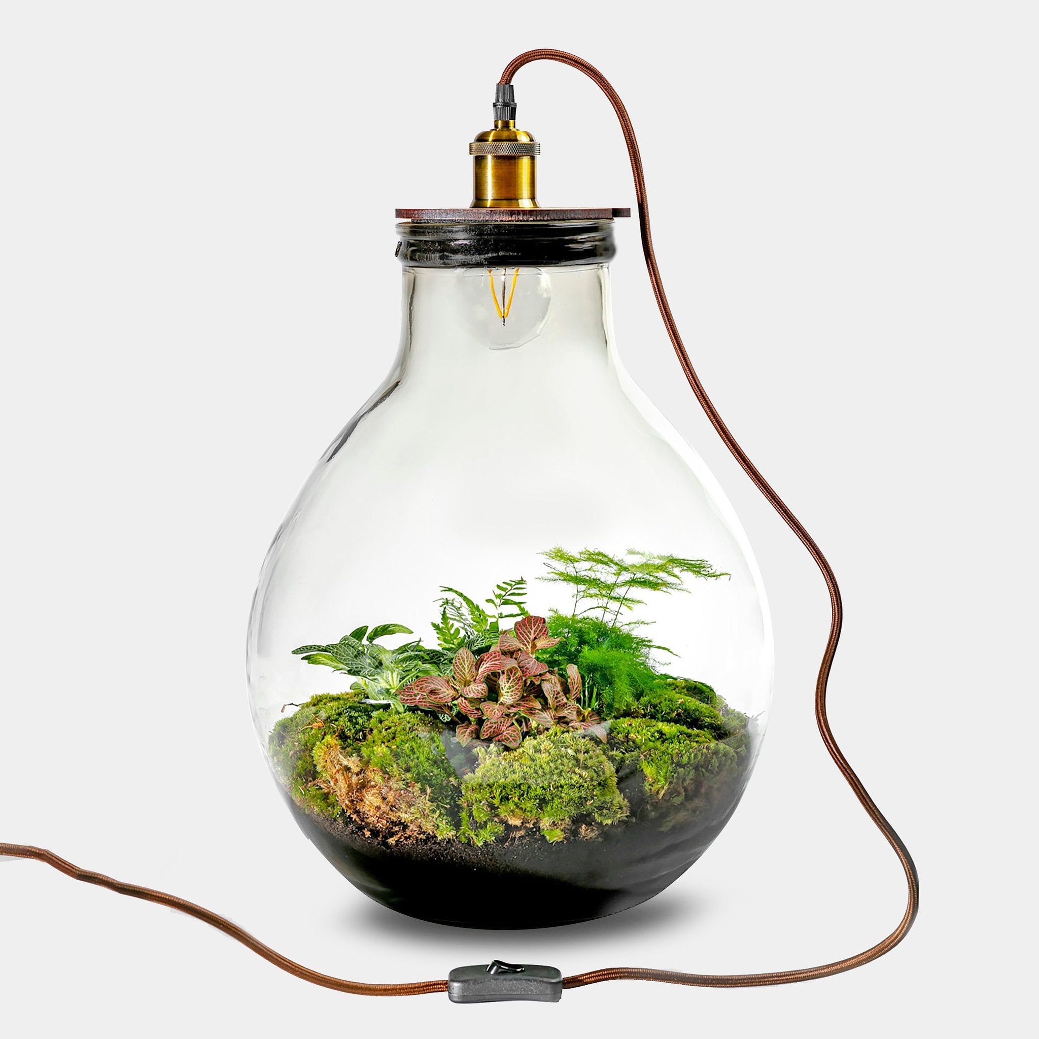 Ecolight XL Botanical -  Terrarium met lamp - 45cm