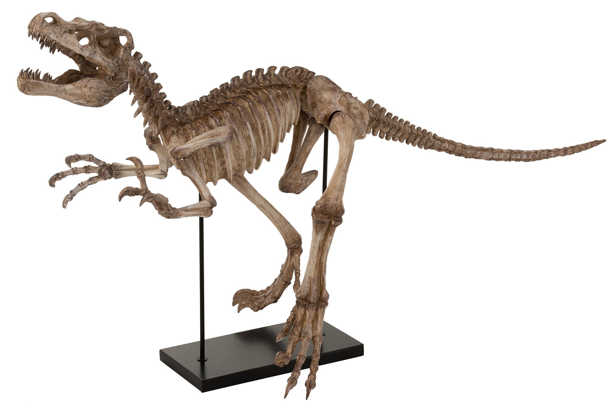 J-Line Dinosaurus Raptor Op Voet Poly Lichtbruin