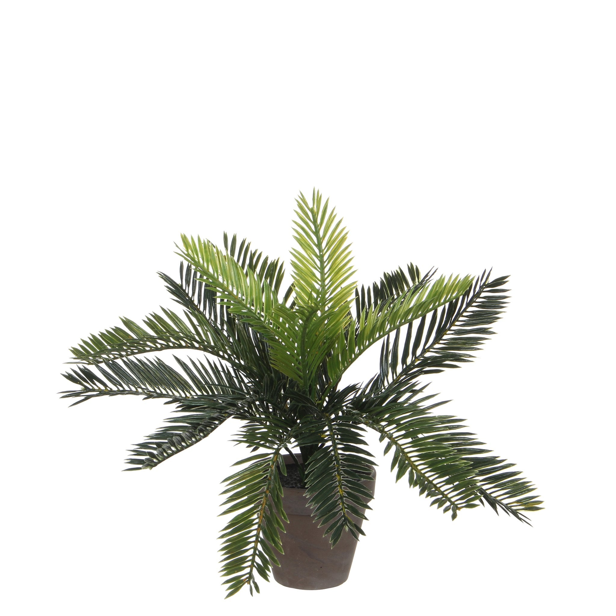 Mica Decorations Cycas Palm Artificial Plant in Plant Pot Stan - H33 x Ø34 cm - Green