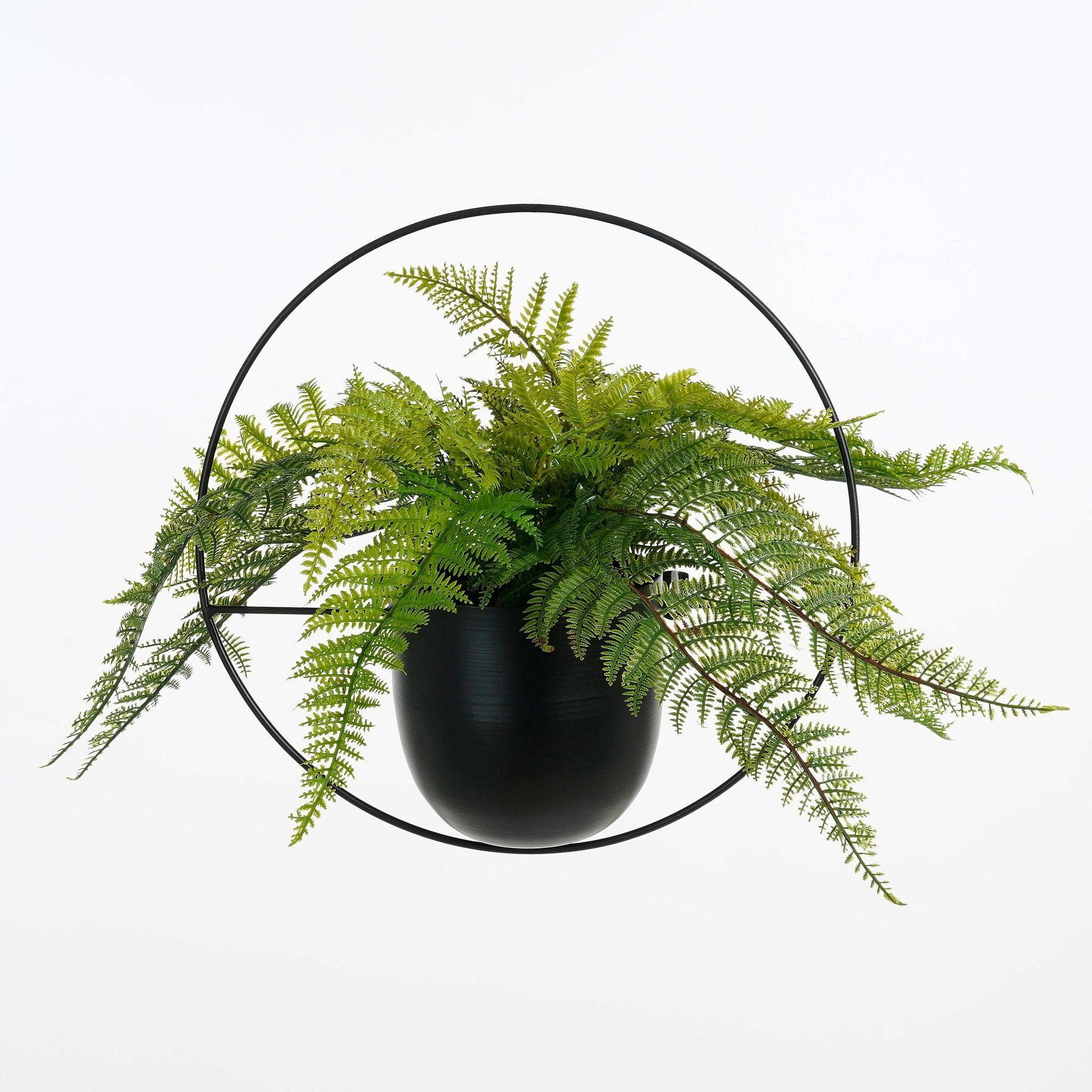 Mica Decorations Dexter Wall Hanging Plant Pot - L34 x W14 x H34 cm - Black