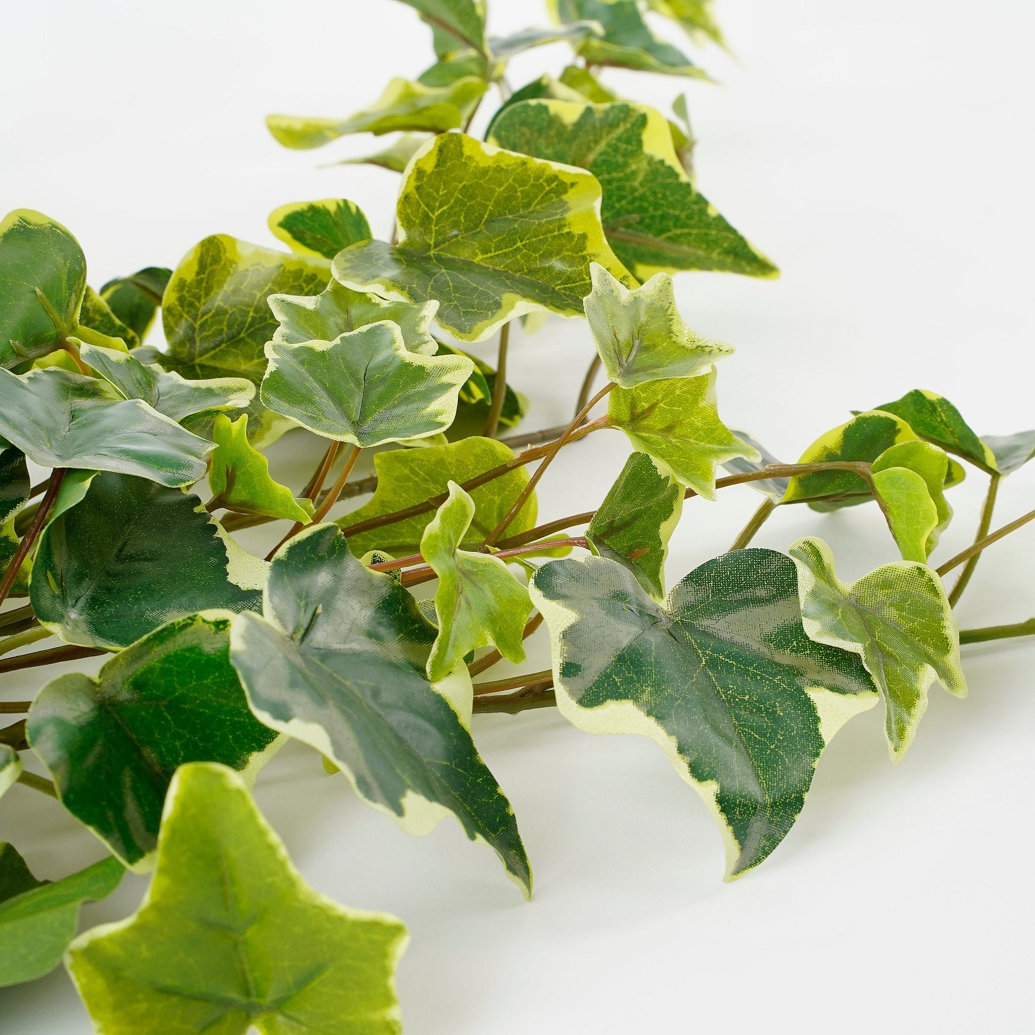 Mica Decorations Hedera Kunst Hangplant - H71 cm - Groen Bont