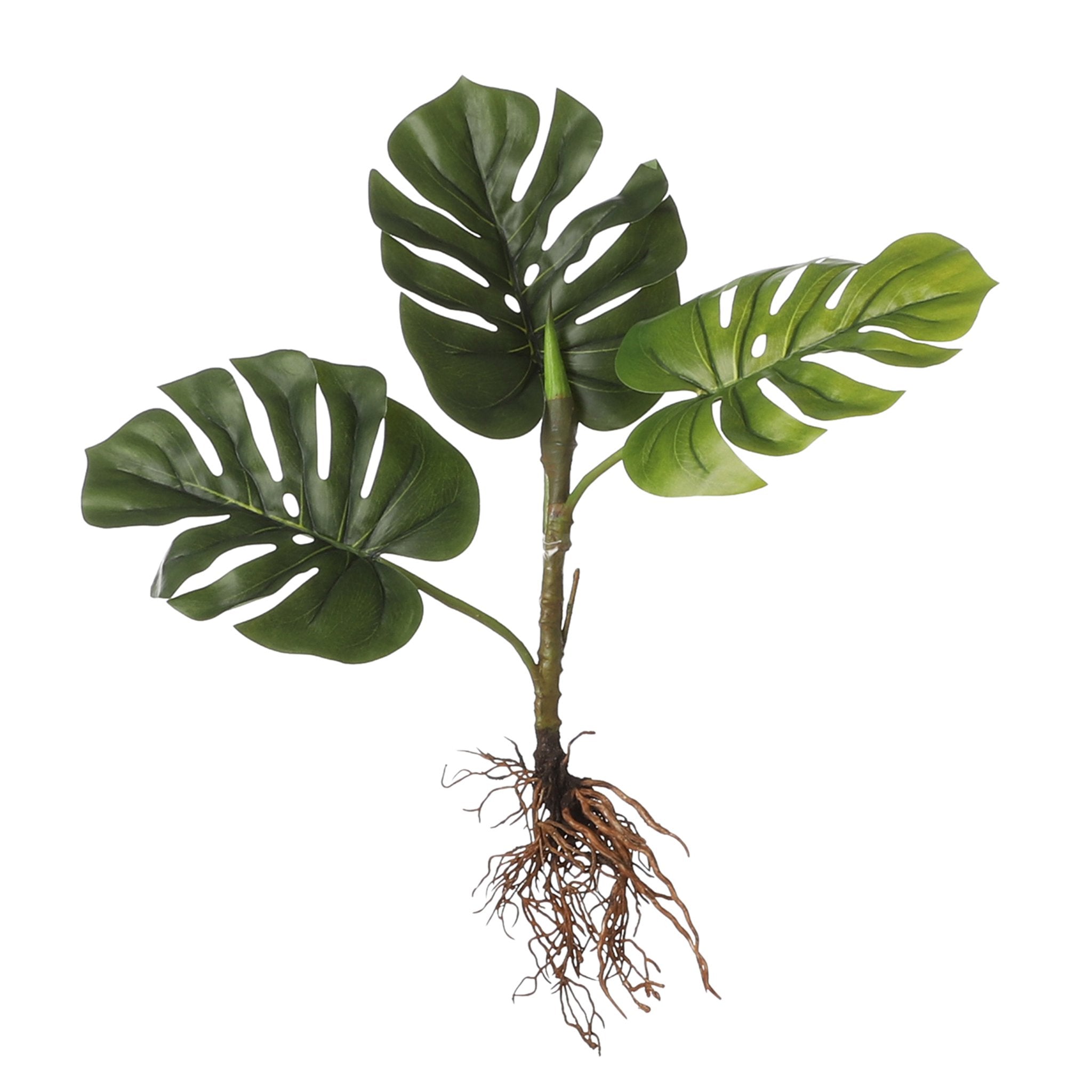 Mica Decorations Monstera Artificial Plant - L12 x W21 x H54 cm - Green