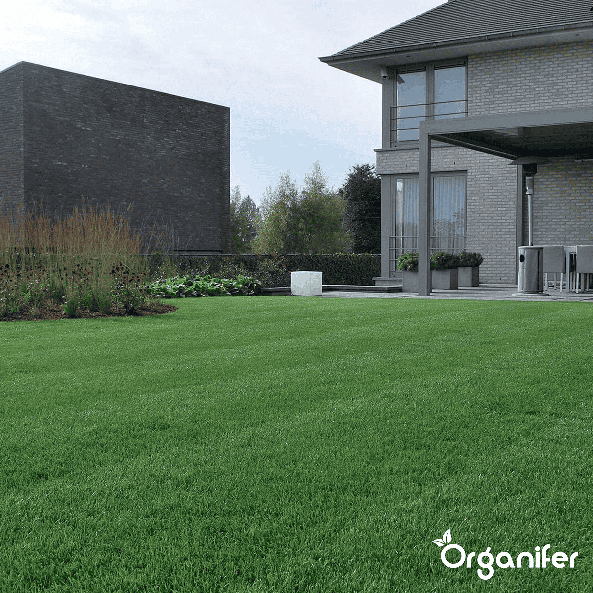 Organifer - Siergazon Graszaad – Elegant (15 kg voor 750 m2)