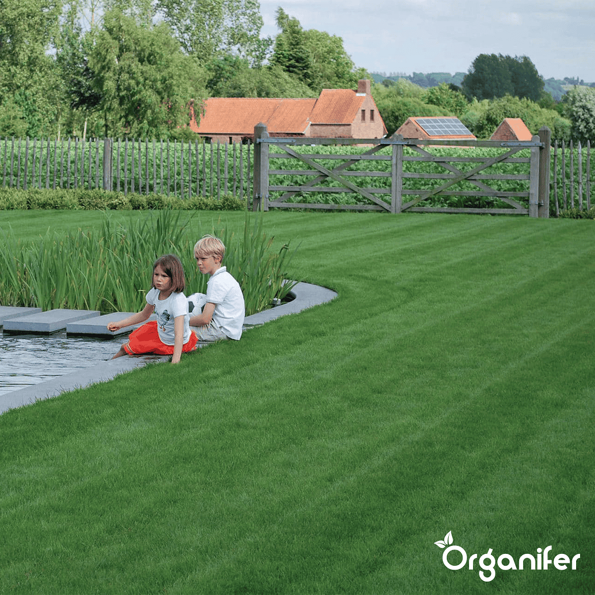 Organifer - Siergazon Graszaad – Elegant (15 kg voor 750 m2)