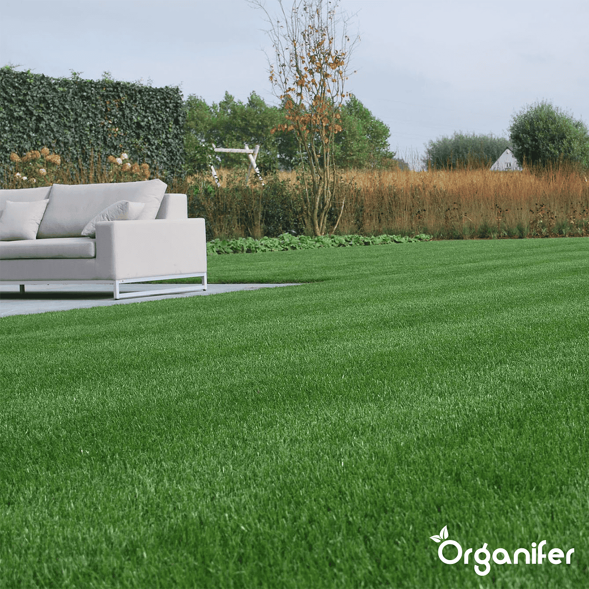 Organifer - Siergazon Graszaad – Elegant (15 kg voor 750 m2)