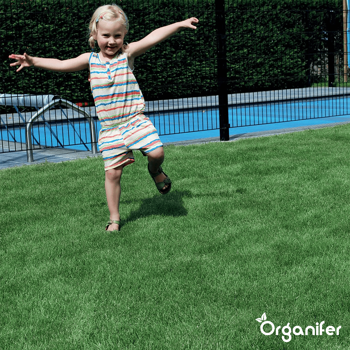 Organifer - Siergazon Graszaad – Elegant (15 kg voor 750 m2)