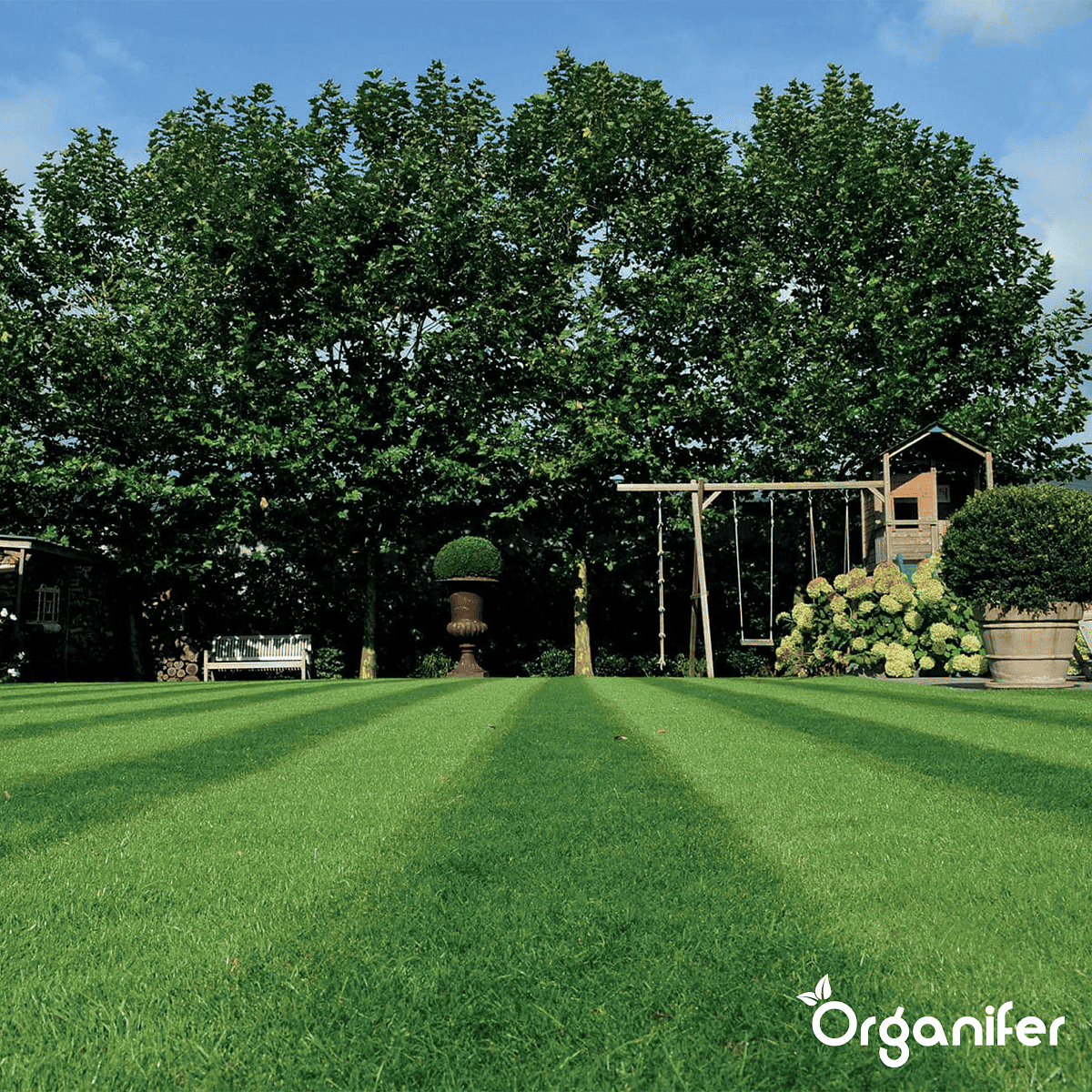 Organifer - Siergazon Graszaad – Elegant (5 kg voor 250 m2)