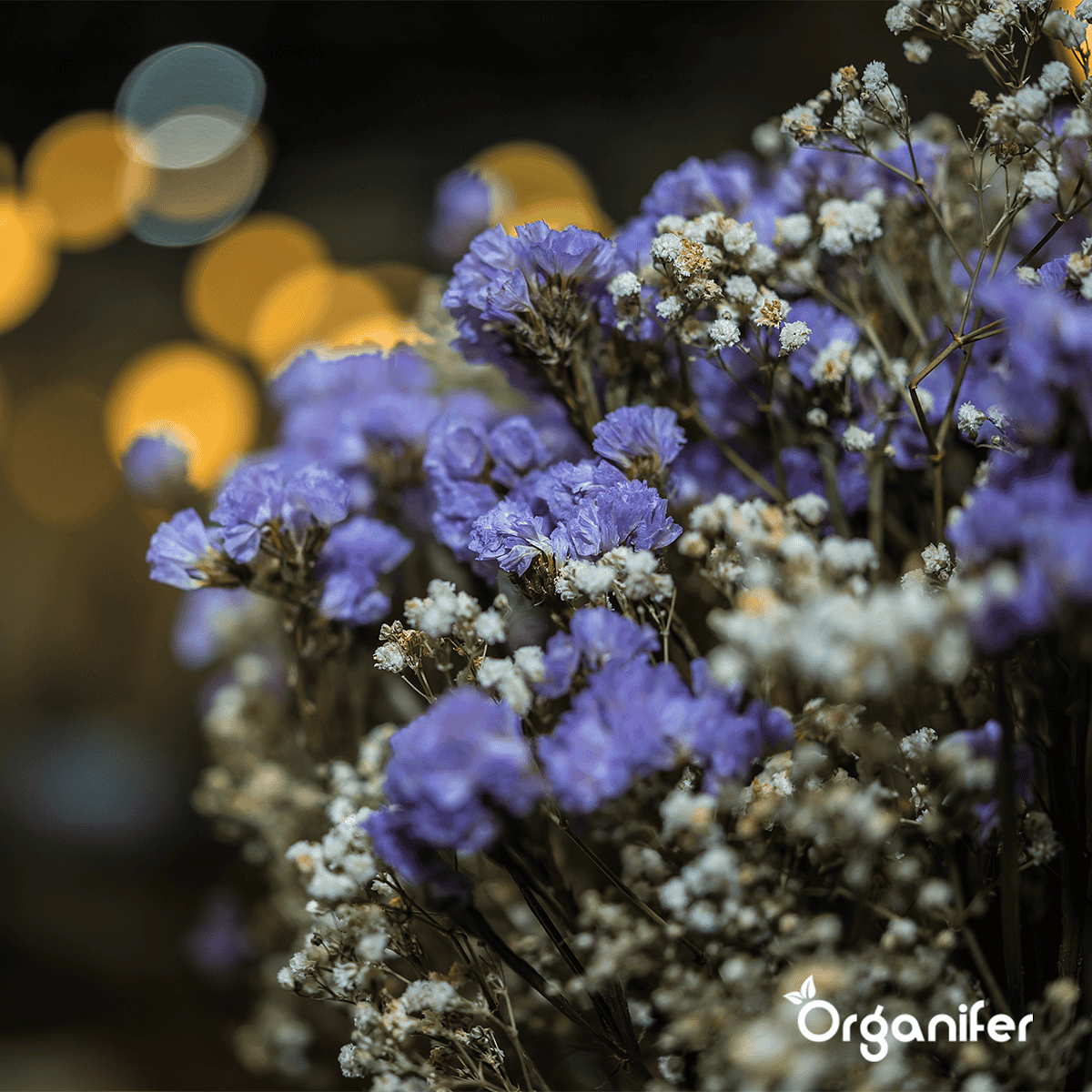 Organifer - Snijbloemen Zadenpakket - 20 Soorten