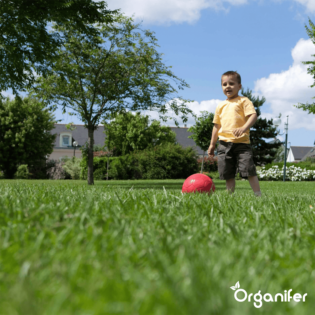 Organifer - Speelgazon Graszaad – Resilient (15 kg voor 750 m2)