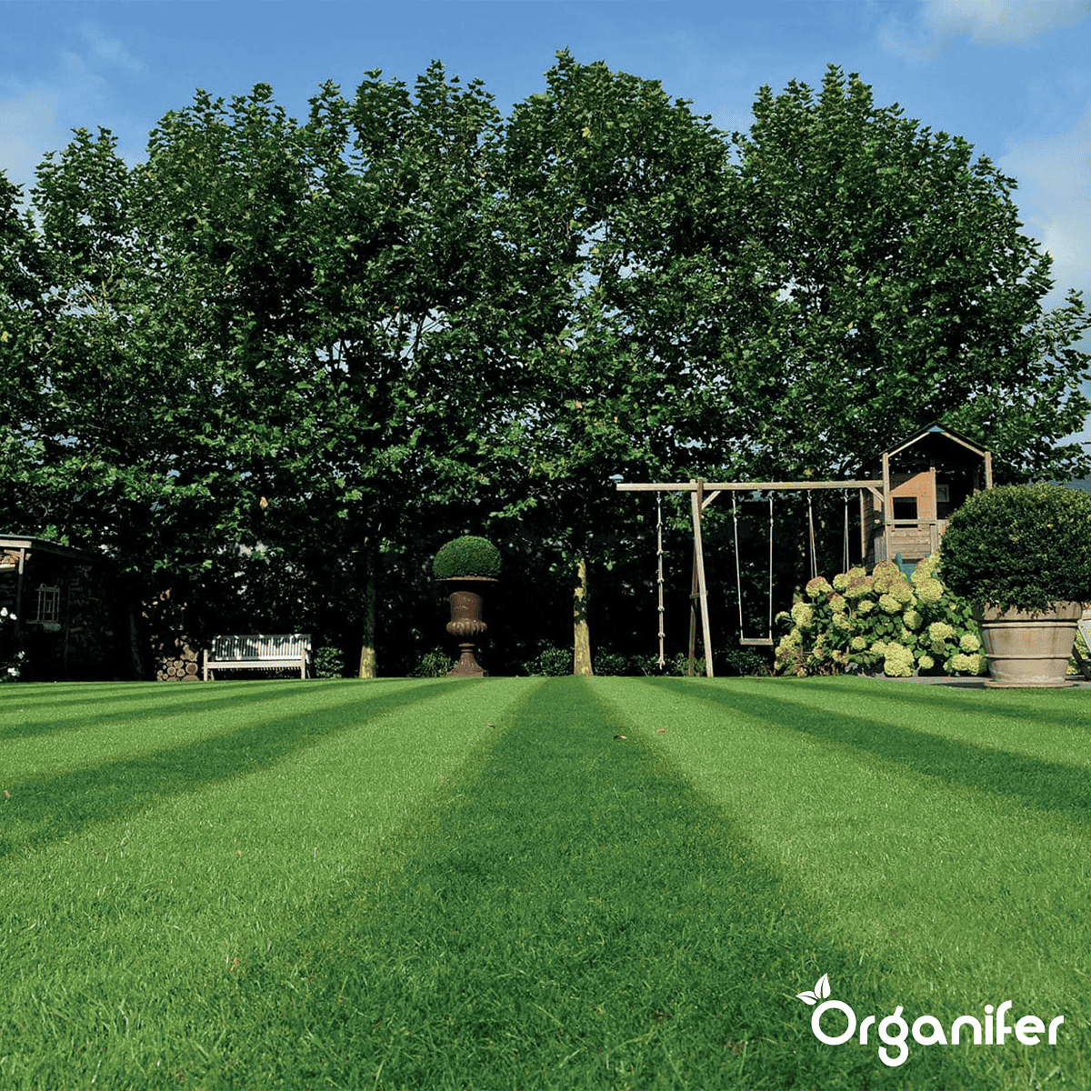 Organifer - Speelgazon Graszaad – Resilient (15 kg voor 750 m2)