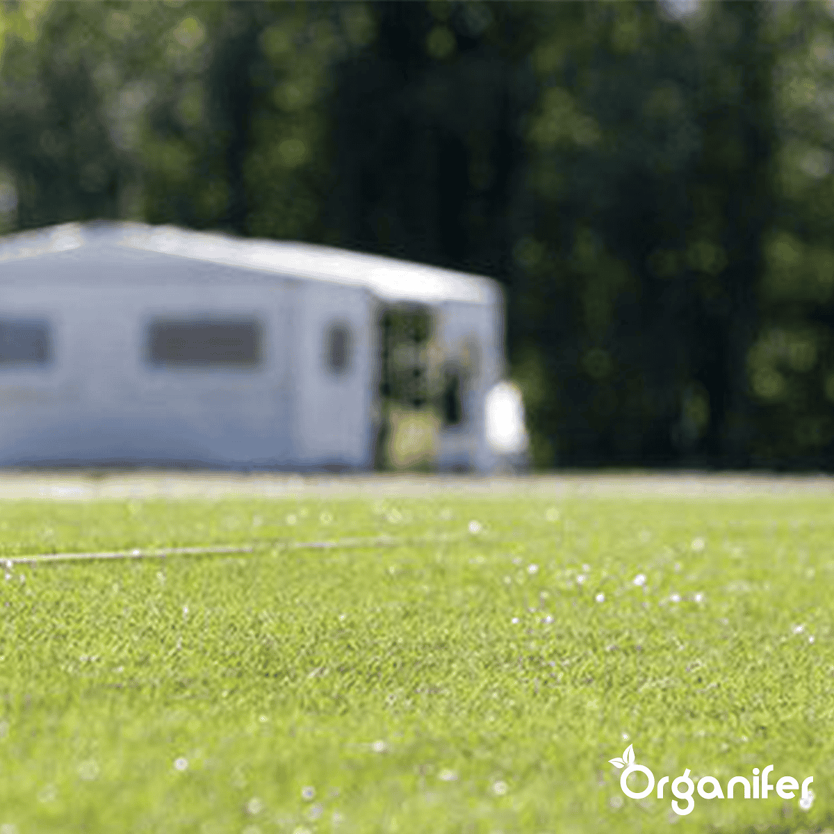 Organifer - Speelgazon Graszaad – Resilient (15 kg voor 750 m2)
