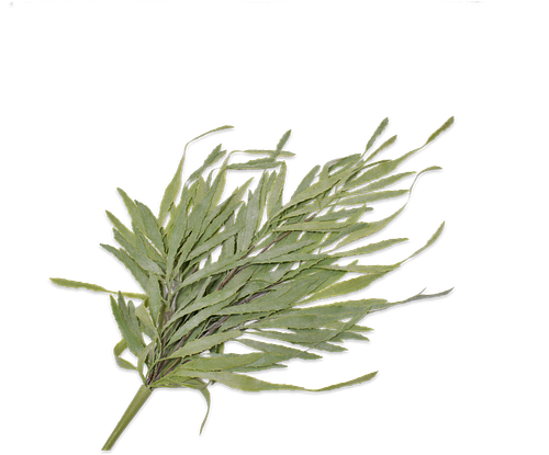 Silk-ka Kunstplant voor Binnen Vetplant Groen 71 cm