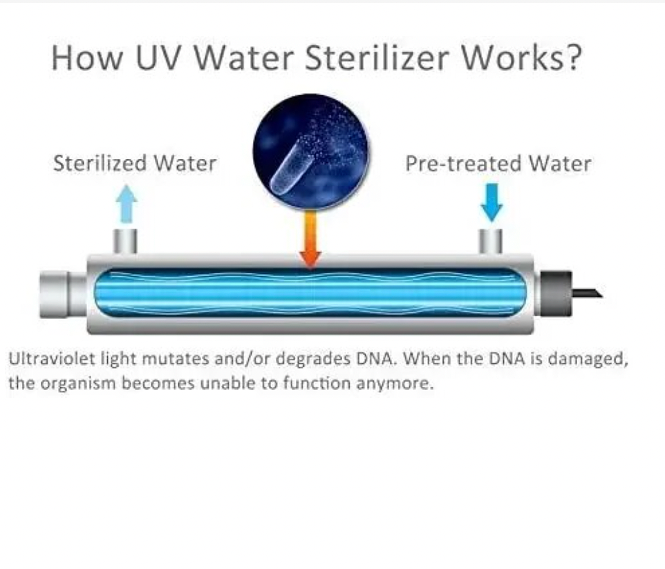 UV Water Sterilisator - Efficiënte Reiniging, 48 GPM