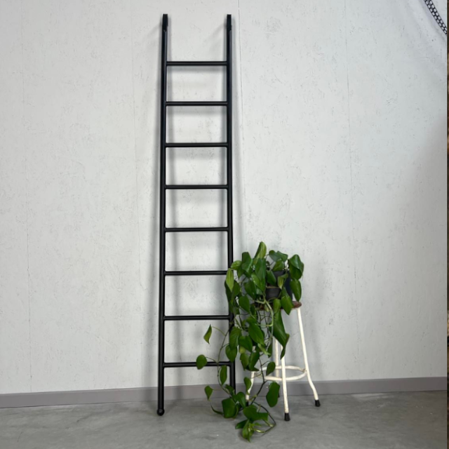 Rootsmann Industriële ladder met stang | Zwart