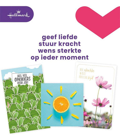 Hallmark navulset wenskaarten, beterschap/sterkte, pak van 12 stuks