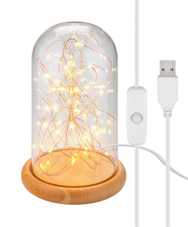 Goobay glazen stolp met LED-microlichtketting - met houten voet, USB-kabel 115 cm, lichtketting 5 m