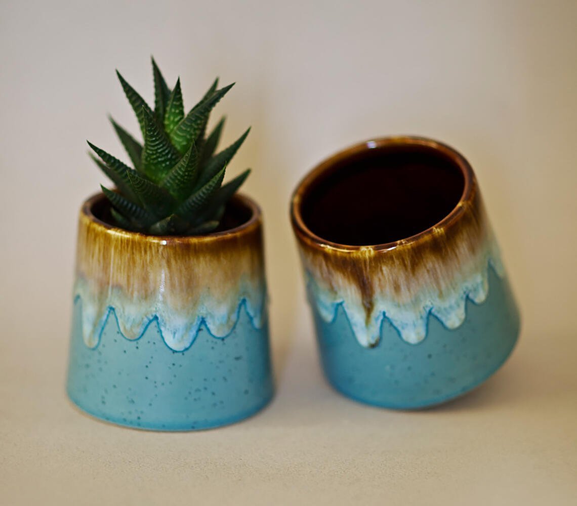 Ceramic Succulent Plant Pot (set of 2)