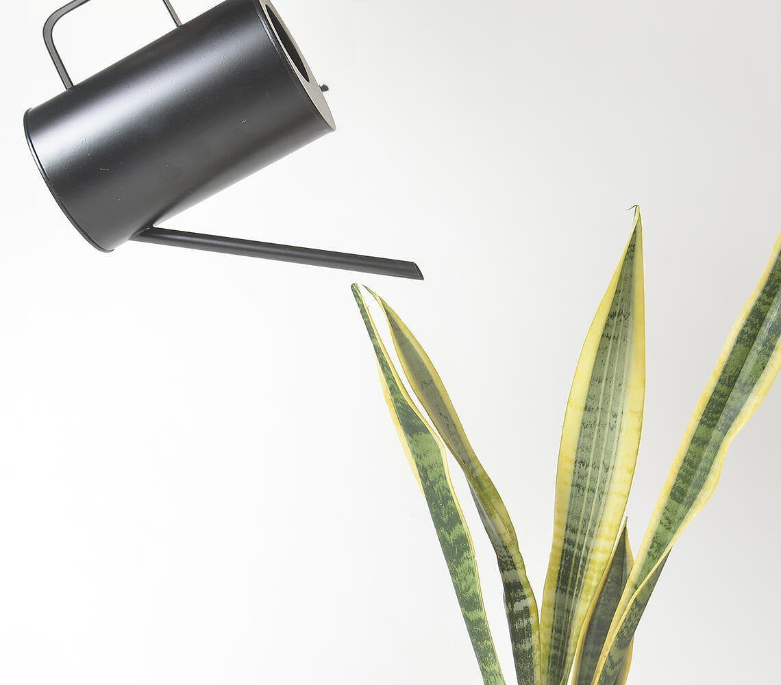 Handmade Metal Sleek Watering can