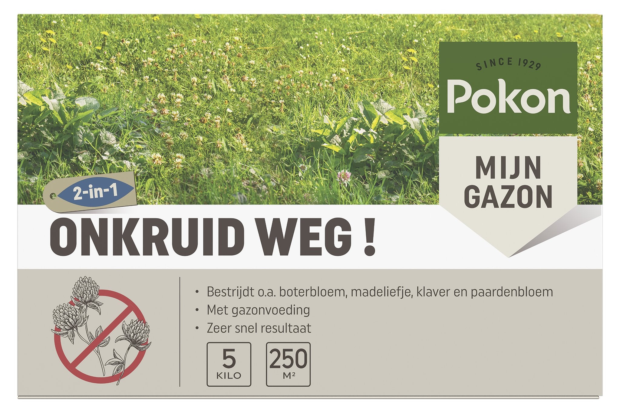 Pokon Onkruid Weg! 250 m2 - 5kg