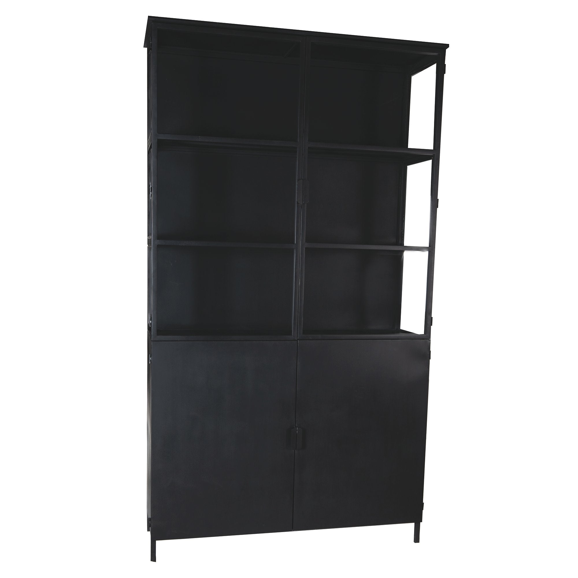 PTMD Elina Glass cabinet black iron frame 2 doors