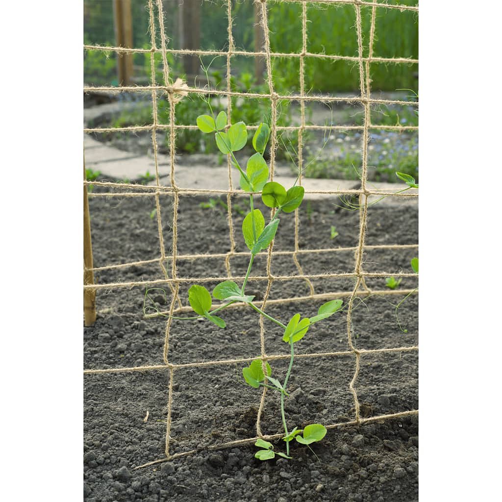 Nature Klimnet voor planten 1x3 m jute naturel