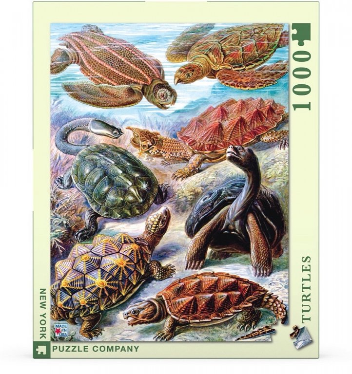 New York Puzzle Company Turtles - 1000 stukjes