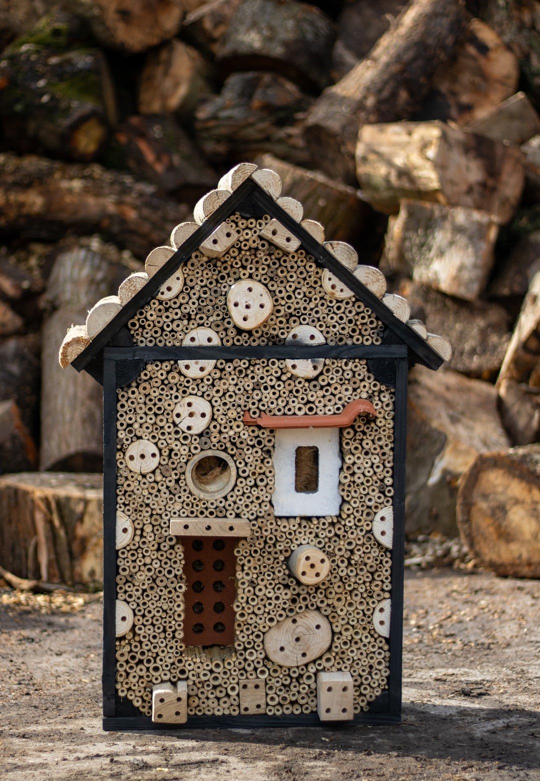 Boomstijl - Insectenhotel de Langpoot 20x50x90 cm