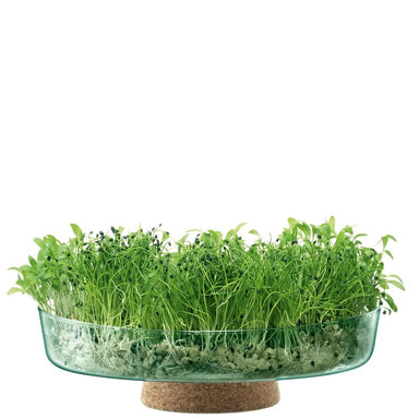 L.S.A. Canopy Planting Bowl ø 28 cm Recycled/Cork